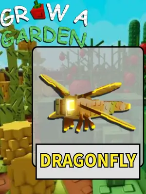 Pet Dragon Fly Grow a Garden Roblox, mascotas